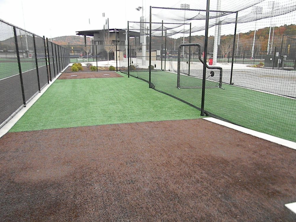 Toronto artificial turf batting cage